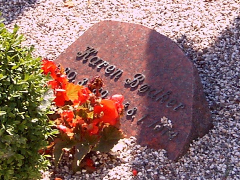 Karen Boedker.jpg